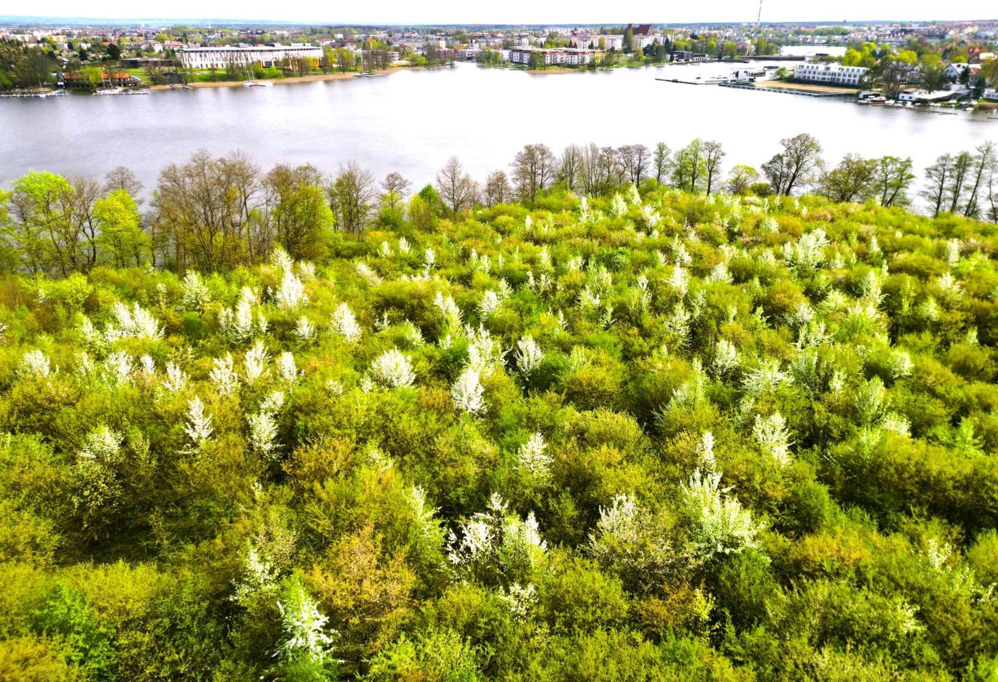 Perfect View - Najlepszy Widok W Ilawie Plus Garaz Podziemny, Winda, Netflix Iława Exterior foto
